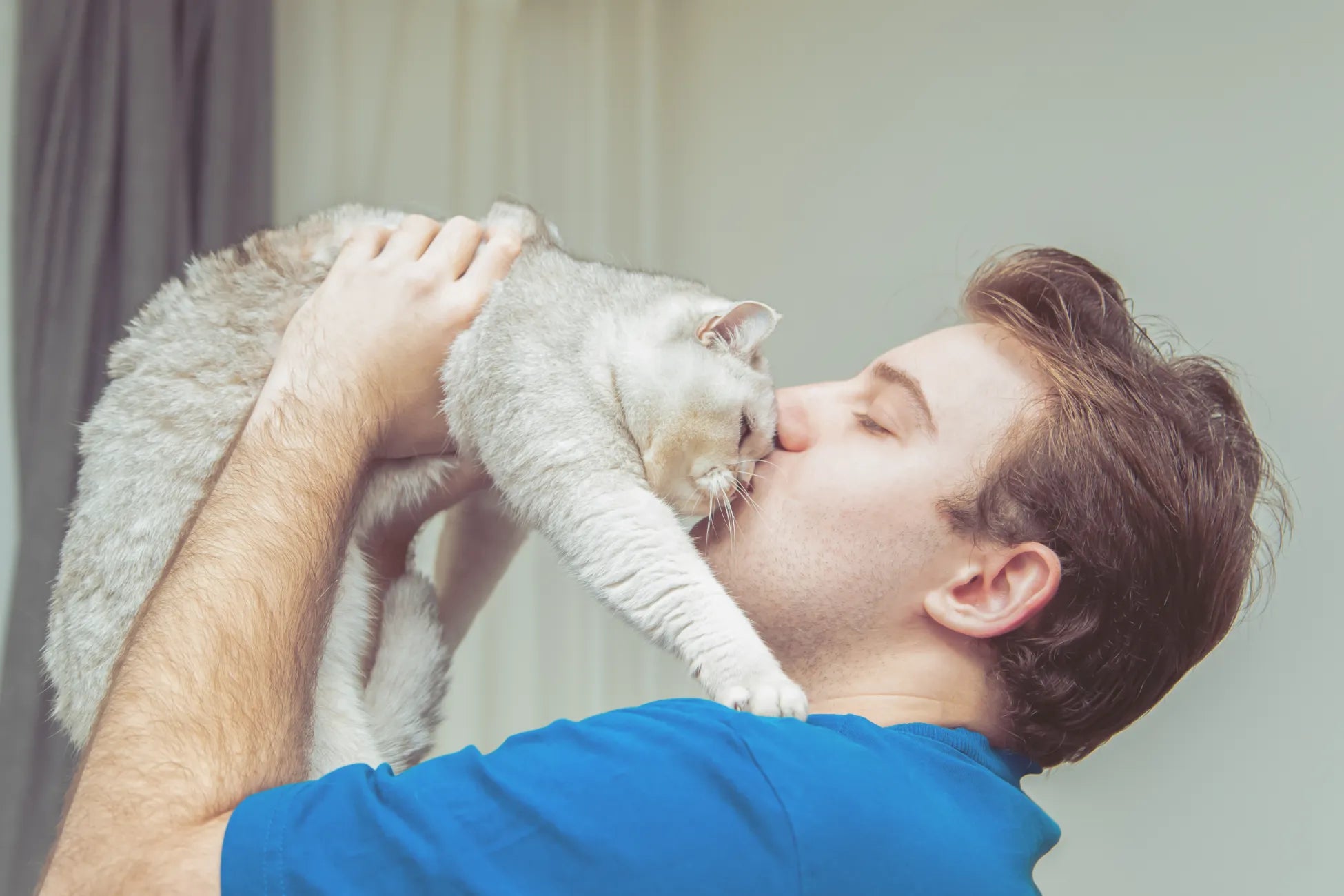 WINTER SAFETY TIPS FOR CATS