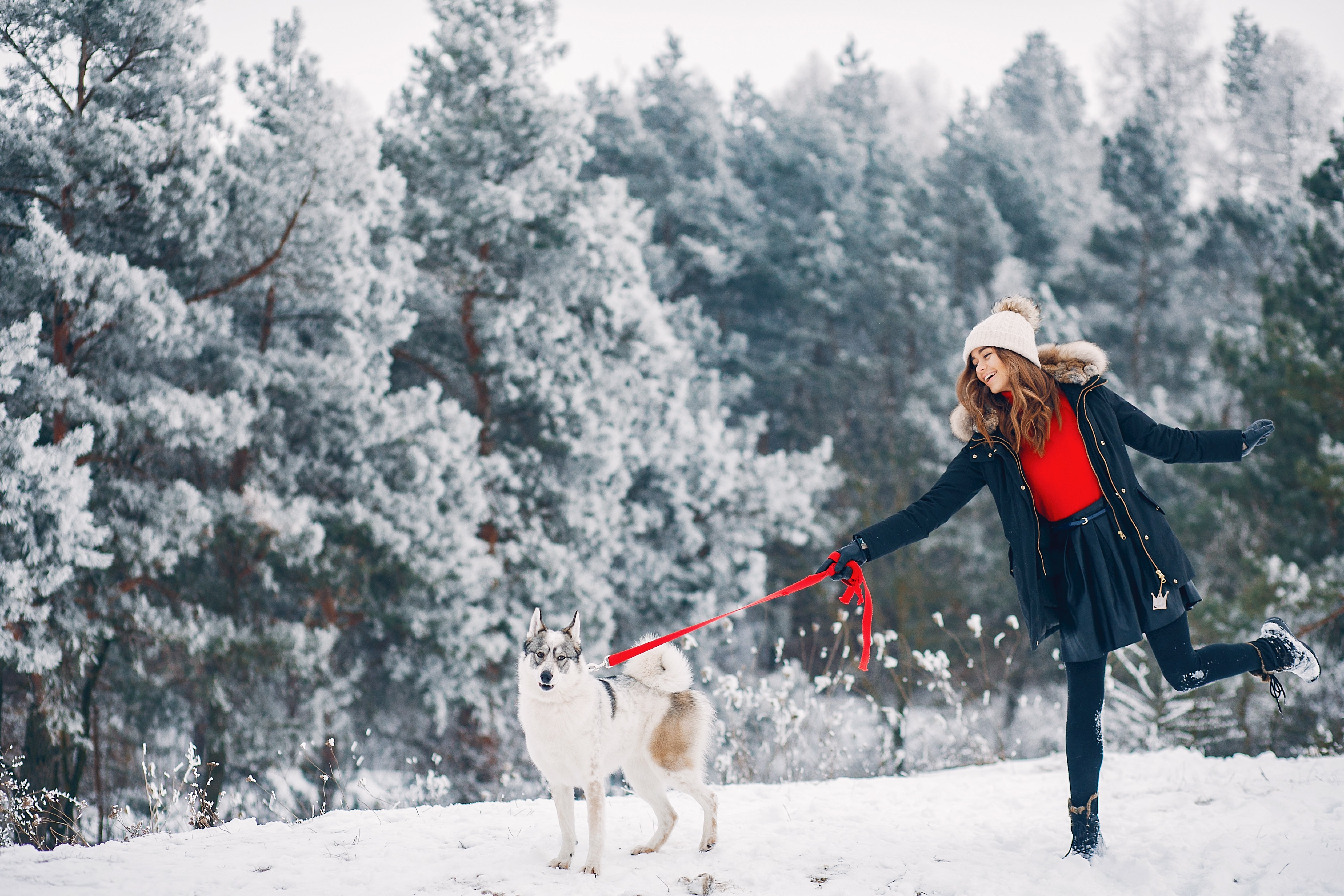 winter dog walking