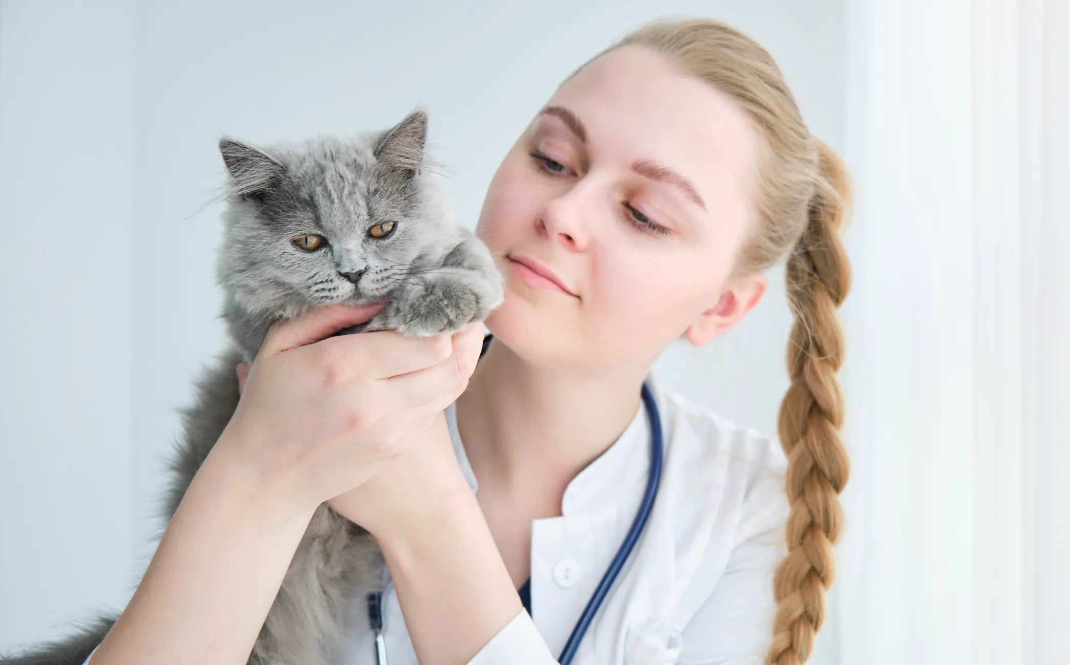 CAT ANXIETY