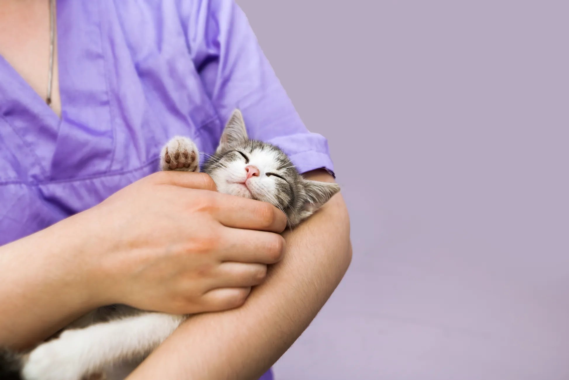CAT SKIN HEALTH